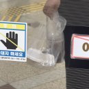 생존신고