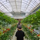 병설농장 이미지