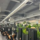 짐포레스트 이미지