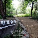 강남화원 이미지