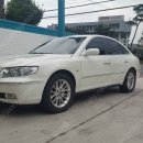 오토오아시스 희망점 이미지