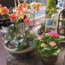 향진가든 이미지