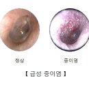 대화이비인후과가정의학과의원 이미지