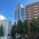 선라이트조명 | [일본 여행] 도쿄 호텔 선라이트 신주쿠 (Hotel Sunlite Shinjuku) 가성비 호텔 숙박 후기