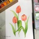 수채화 일러스트 이미지