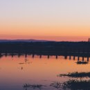 본리심야약국 이미지