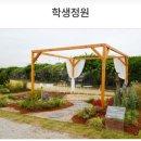 푸른도시원예 협동조합 | 2025 대구정원박람회 완전 정복 가이드ㅣ관람 꿀팁과 공모전 정보 총정리!