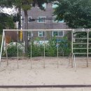 창천초교병설유치원 이미지