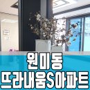 뜨라내움 이미지