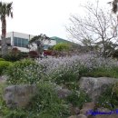 산방산온천게스트하우스 이미지