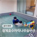 청계호수자작나무숲펜션2