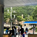 비발디파크오션월드 이미지