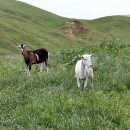 후덕목장 이미지