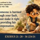 출애굽기 21 : 28-36 손해 배상 규정에 담긴 이웃 사랑 20260822(234D)☞ 이미지