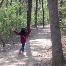 용인아이숲유아숲체험원 이미지