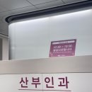 [난소 기형종 복강경 수술 01] 건강검진 난소혹 발견, 강남차병원 예약 및 수술 전 검사