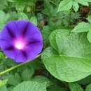 정경진한의원 이미지