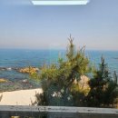 티파니펜션 | [감포여행] 감포카페 히든씨, 히든씨 펜션 티파니 이용 솔직 후기