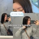 애니존 동물병원 | 수원 인계동 미용실 뿌리매직 잘하는곳 추천 헤어다이아 인계프리미엄점 후기