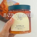 주식회사 대한칼라 | 화장실 탈취제, 탈취력 향균력 99% 대용량 고체 탈취제 플로캄