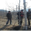 한솔농장 이미지