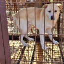 아린농장 이미지