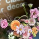 광장47호 이미지