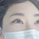 도도브로우 이미지