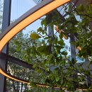 승민디자인 | 차지티 강남 (CHAGEE) 웨이팅 없이 성공 후기