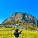 (주)꿈꾸는이웃 이미지