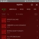 1등가즈아 Daum카페