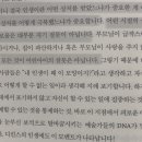 전국5대 직화 교동짬뽕 네이버블로그