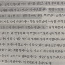 전국5대 직화 교동짬뽕 이미지