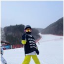 하이원스키강습 맘스스키, 어린이부터 유아까지 완벽한 스키 강습!