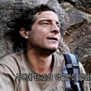 와일드베어