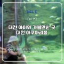 [대전] 아이와 가볼만한 곳, 대전 아쿠아리움 물고기 수족관 동물 호랑이 먹이주기