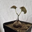 연월농장 이미지