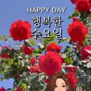오늘도달콤하게 Daum카페