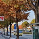 미플러스의원 이미지