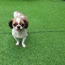 총각네한우축산 이미지