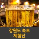 속초교동맥주