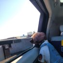 고래등횟집 이미지