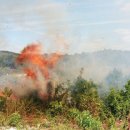 연기119지역대 이미지