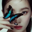 아이린 - 북구 | 아이린