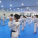 한국체대비전태권도장 이미지