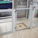 해피애견왕국 이미지