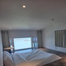 스테이유 이미지