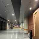 브라운 도트 이미지