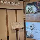 한끼닭칼국수 롯데백화점마산점 이미지