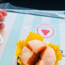모찌의하루 이미지